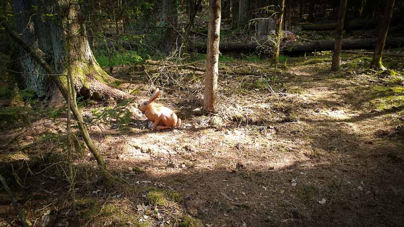 20190517 165605-bogenschiessen