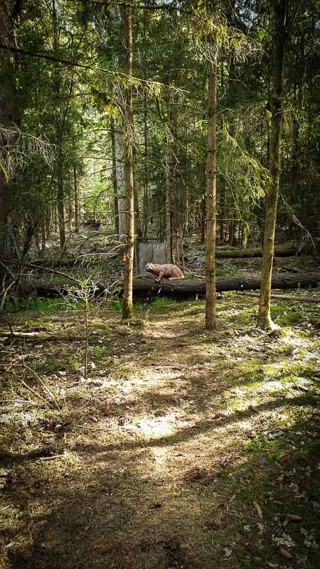 20190517 165609-bogenschiessen