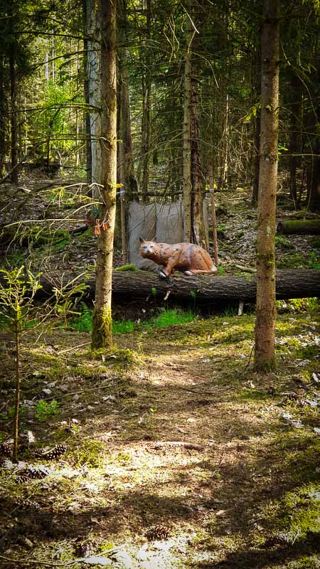 20190517 165613-bogenschiessen