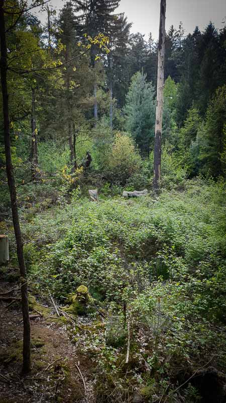 20190517 170053-bogenschiessen