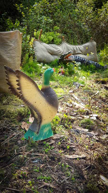 20190517 170900-bogenschiessen