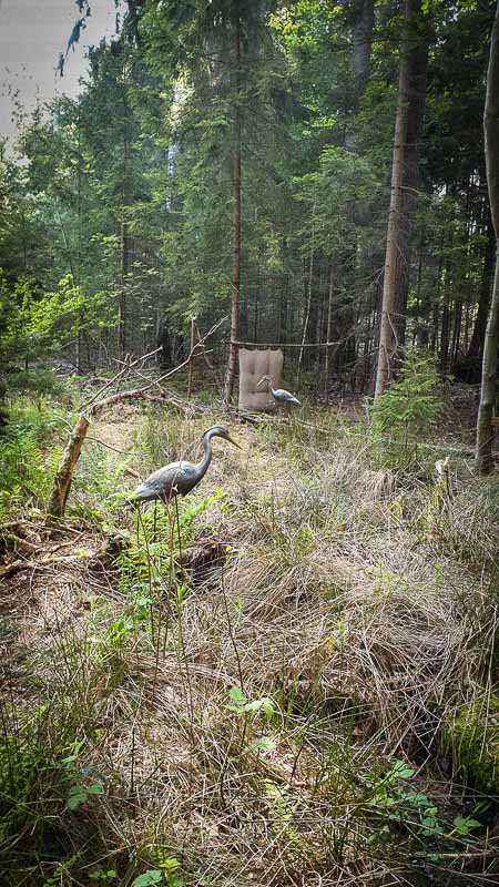 20190517 171919-bogenschiessen