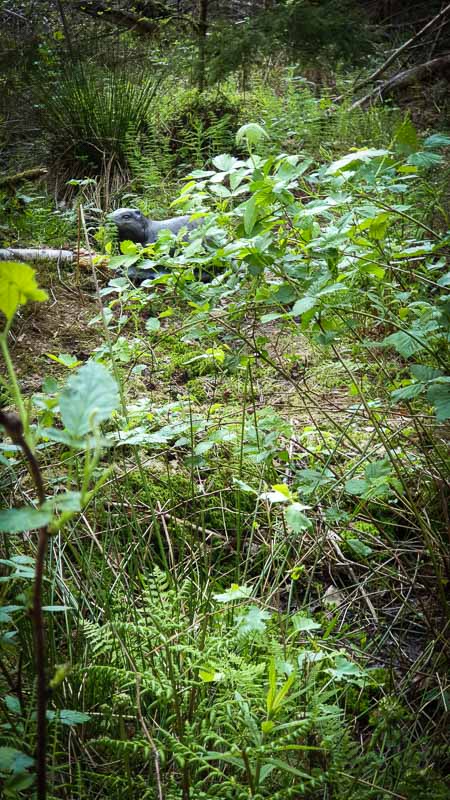 20190517 173206-bogenschiessen