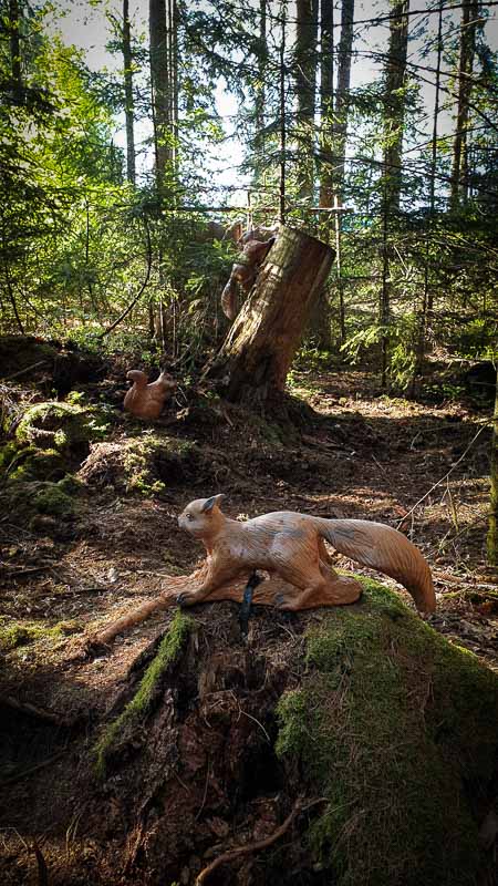 20190517 174454-bogenschiessen