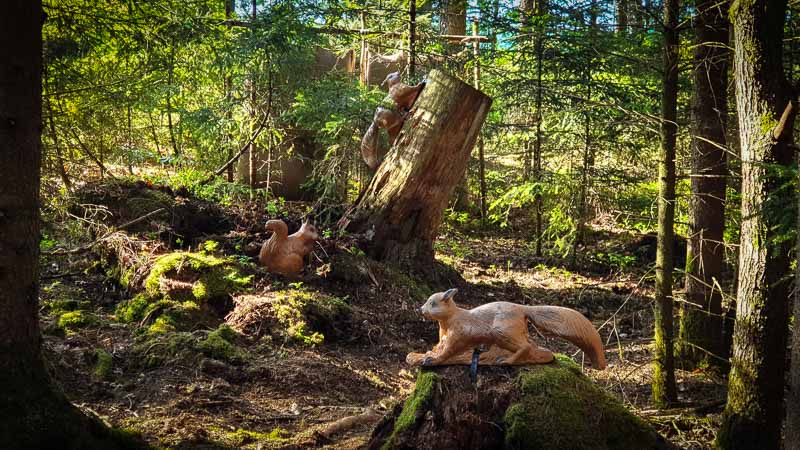 20190517 174512-bogenschiessen