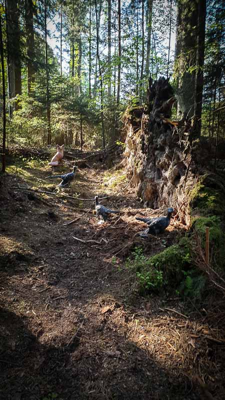 20190517 175218-bogenschiessen