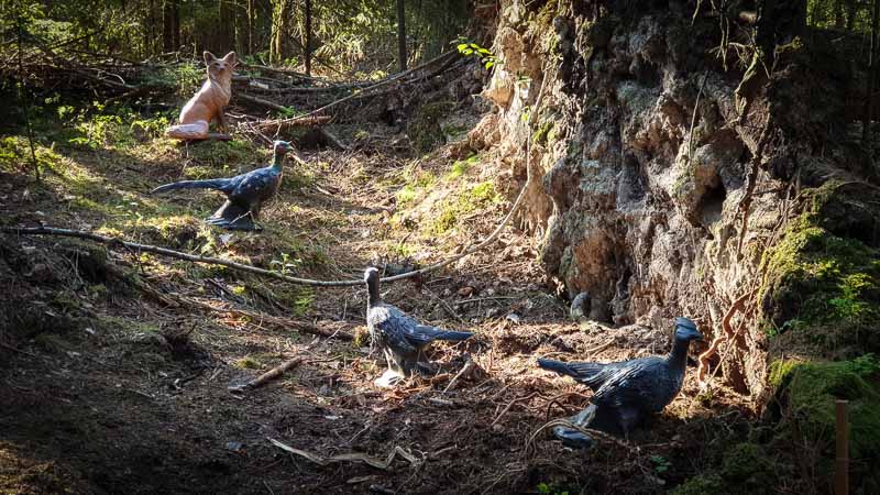 20190517 175225-bogenschiessen