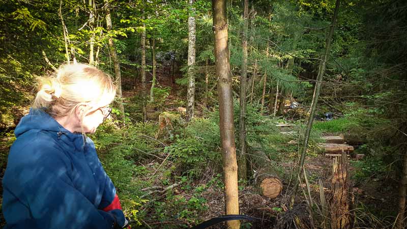 20190517 175412-bogenschiessen