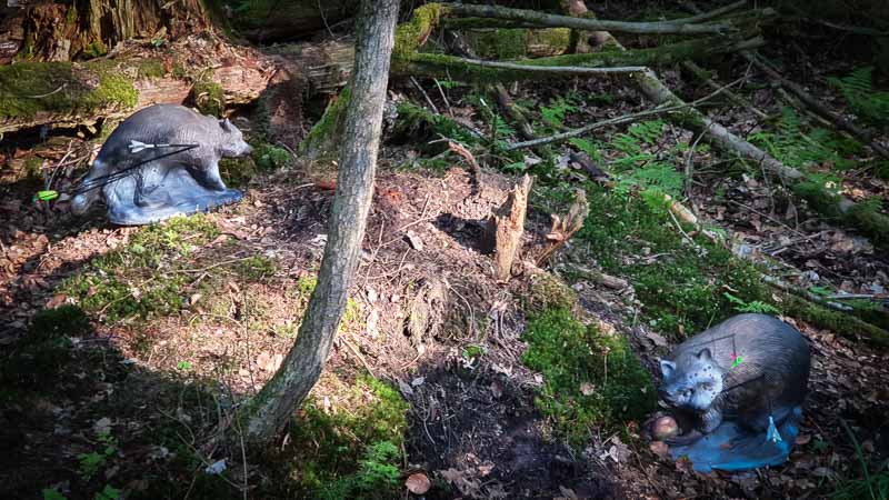 20190517 175825-bogenschiessen