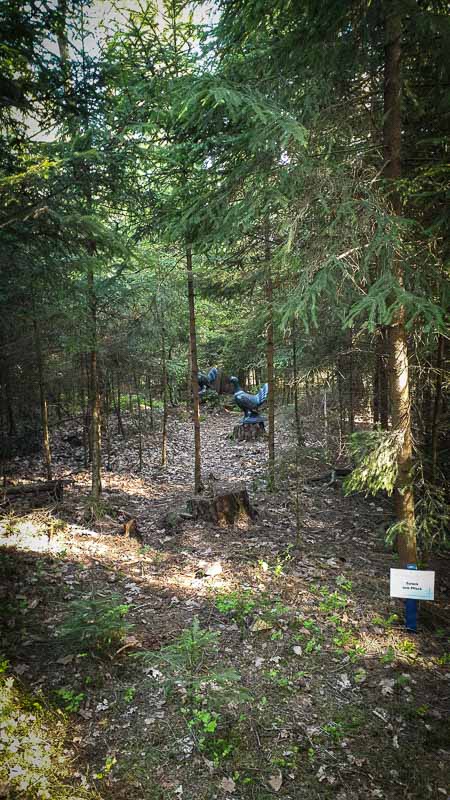 20190517 180133-bogenschiessen