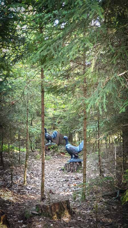 20190517 180140-bogenschiessen