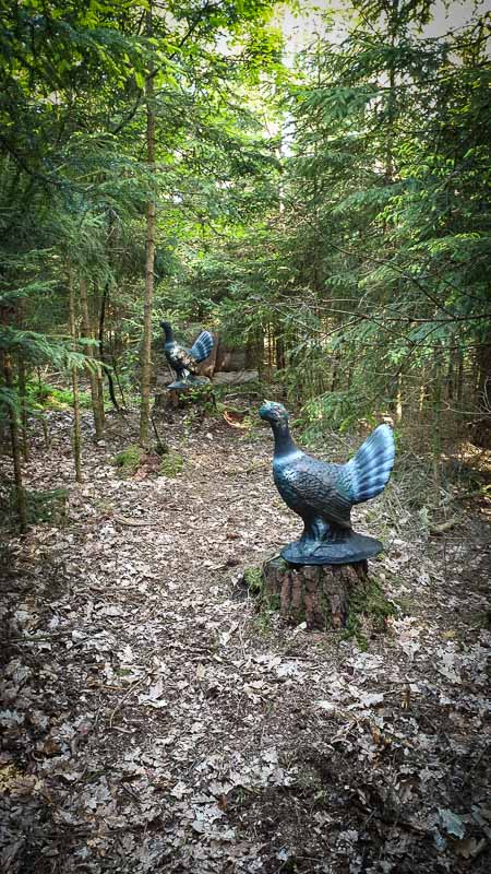 20190517 180406-bogenschiessen