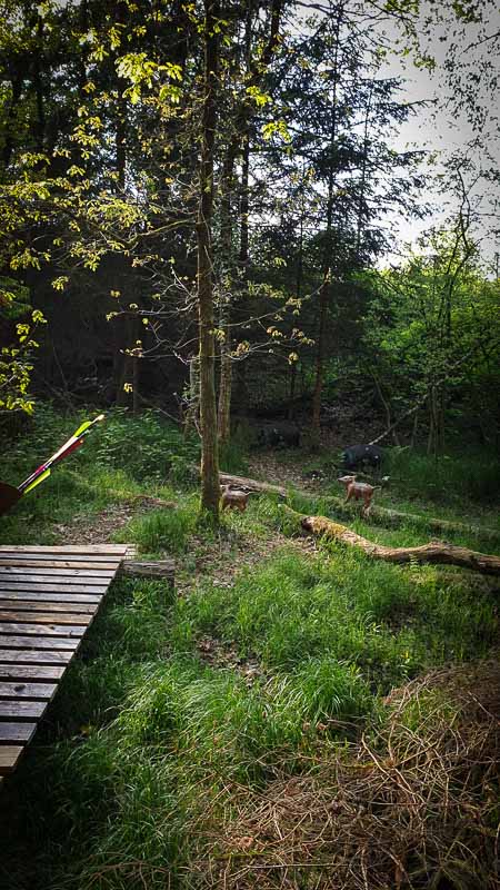 20190517 180917-bogenschiessen