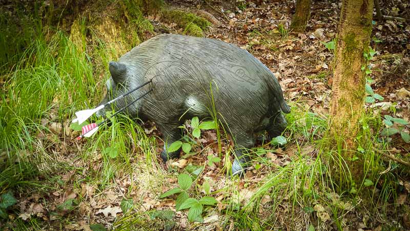 20190517 181019-bogenschiessen