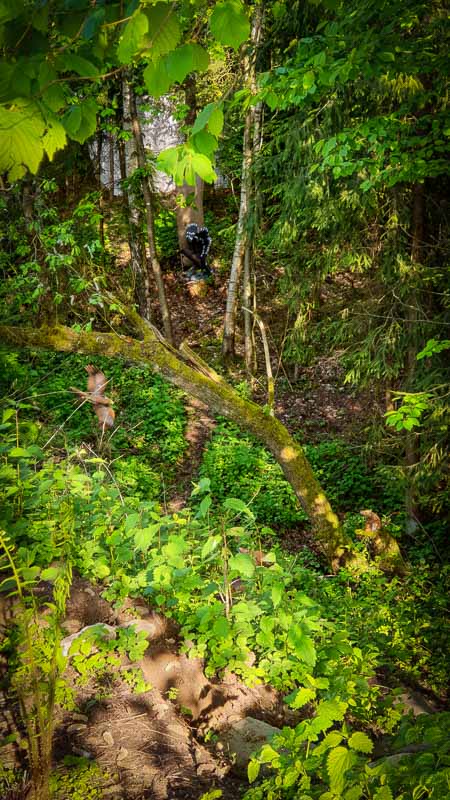 20190517 181416-bogenschiessen