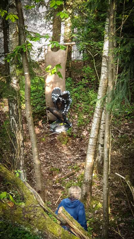 20190517 181836-bogenschiessen