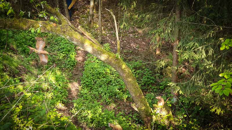 20190517 181844-bogenschiessen