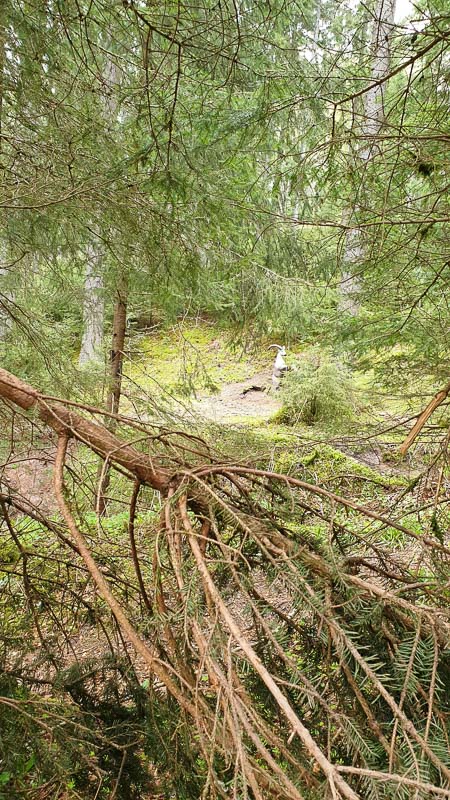 instarch 190503 2268 x 4032 12-bogenschiessen