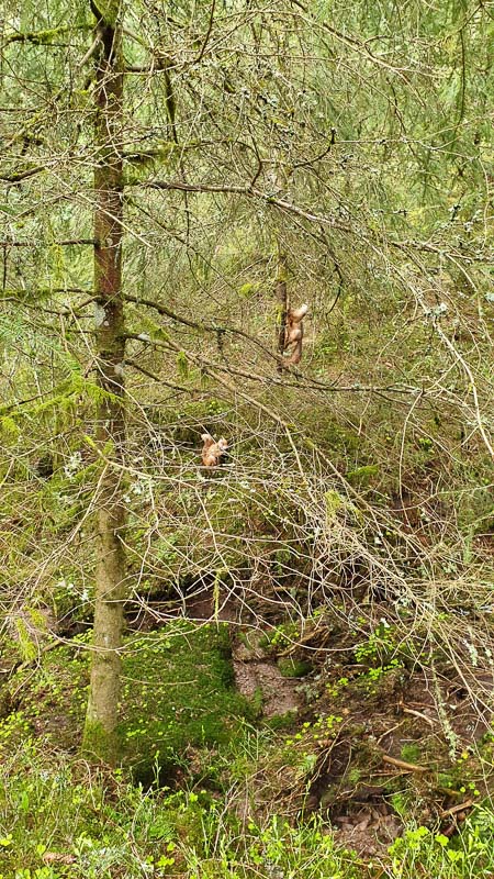 instarch 190503 2268 x 4032 13-bogenschiessen