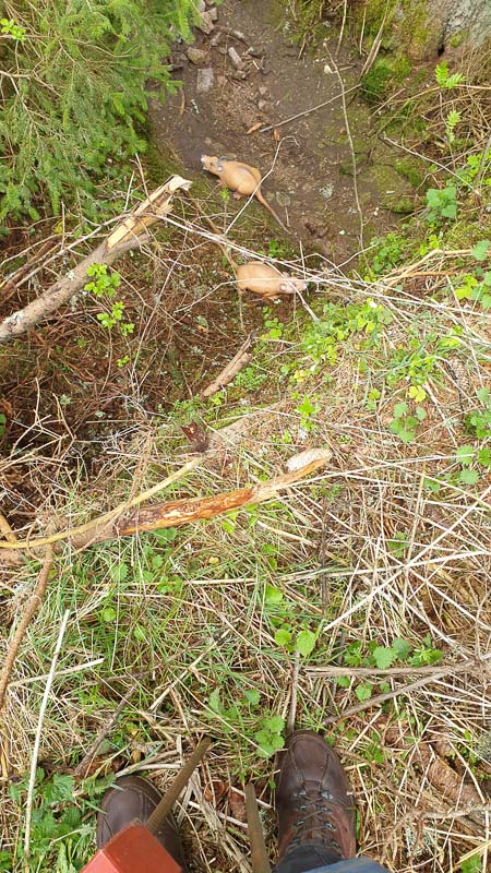 instarch 190503 2268 x 4032 14-bogenschiessen