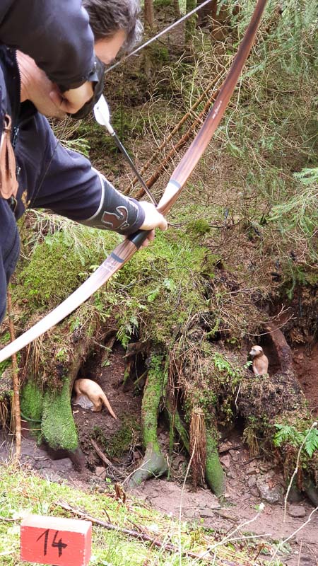 instarch 190503 2268 x 4032 16-bogenschiessen