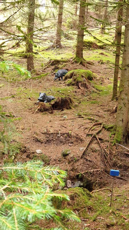 instarch 190503 2268 x 4032 19-bogenschiessen