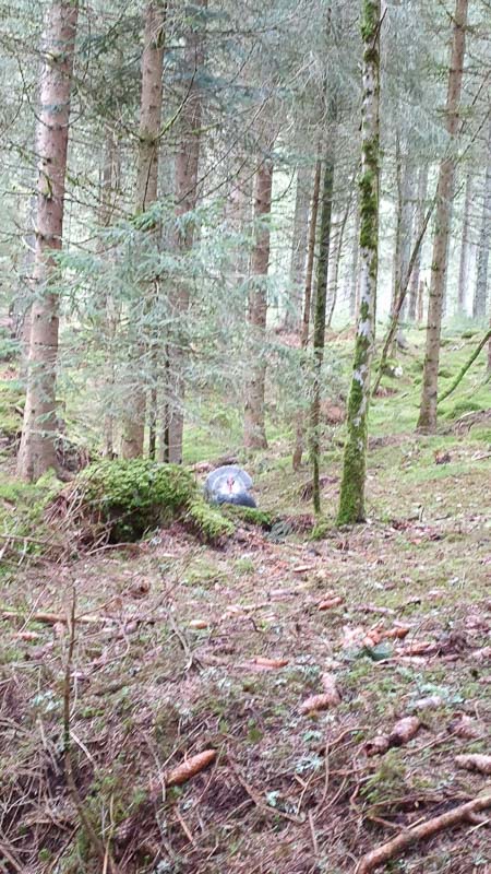 instarch 190503 2268 x 4032 22-bogenschiessen