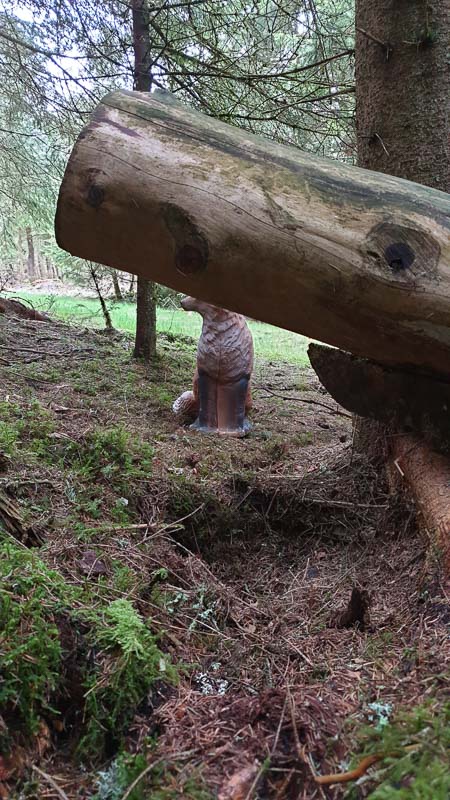 instarch 190503 2268 x 4032 24-bogenschiessen