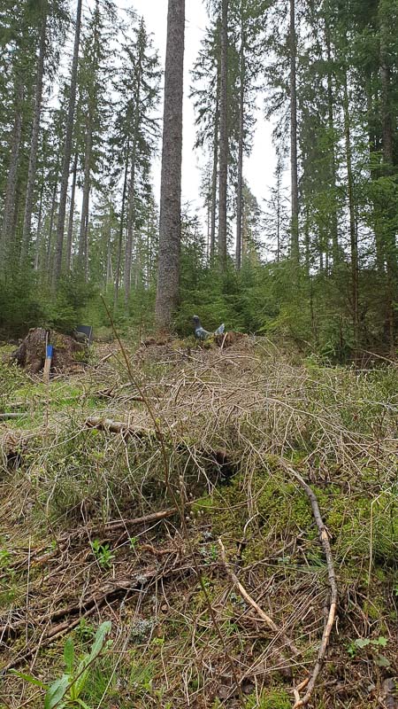 instarch 190503 2268 x 4032 28-bogenschiessen