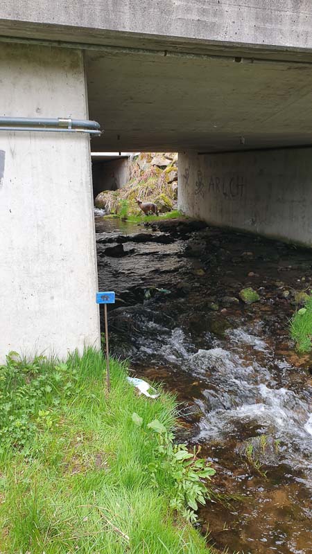 instarch 190503 2268 x 4032 5-bogenschiessen