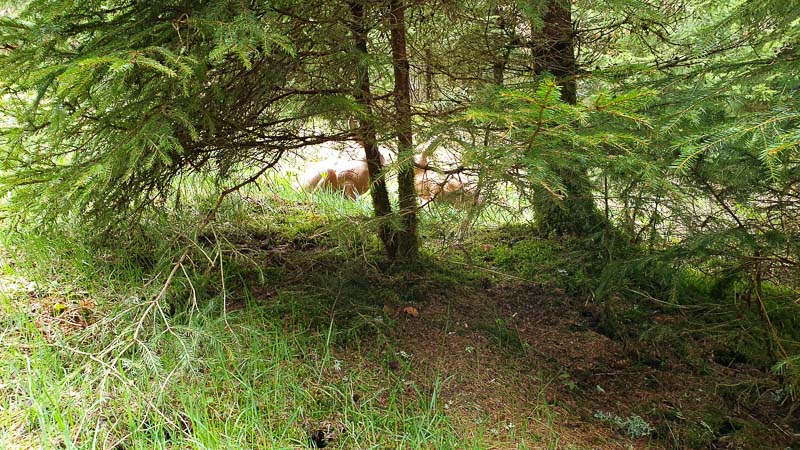 instarch 190503 4032 x 2268 10 1-bogenschiessen