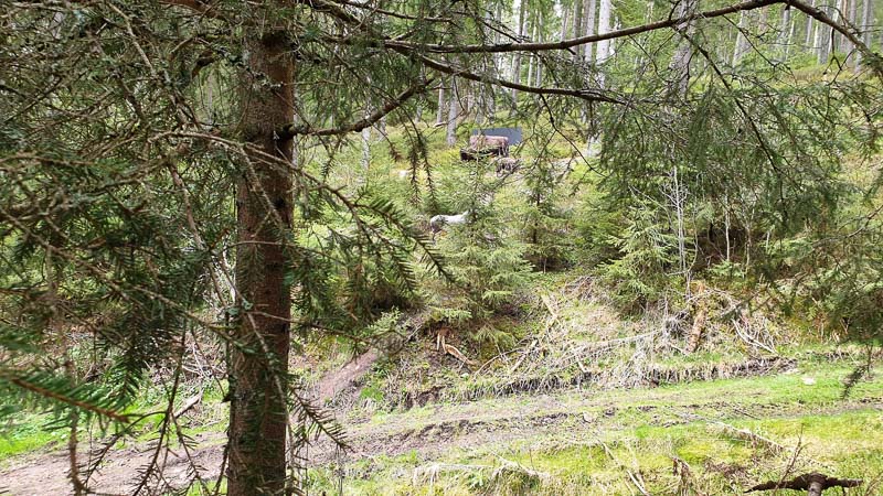 instarch 190503 4032 x 2268 4-bogenschiessen