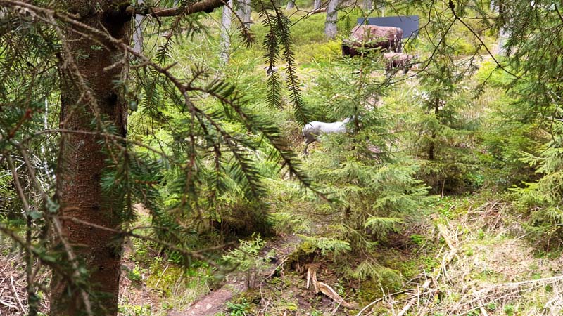 instarch 190503 4032 x 2268 5-bogenschiessen