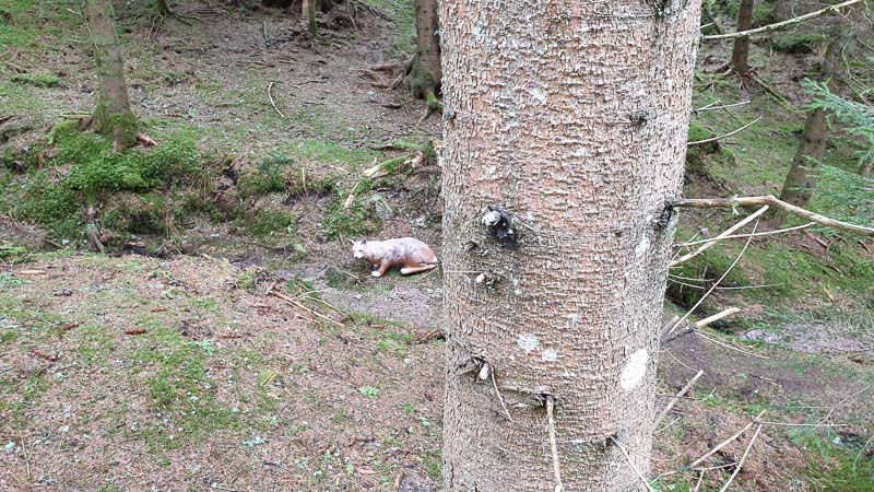 instarch 190503 4032 x 2268 7-bogenschiessen