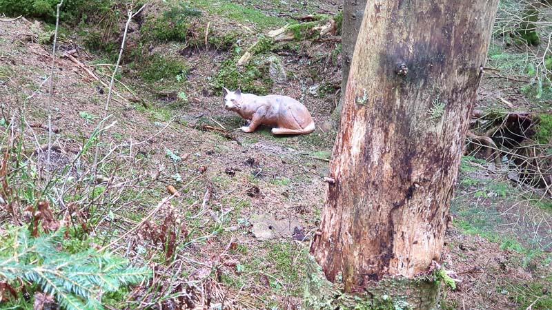 instarch 190503 4032 x 2268 8-bogenschiessen