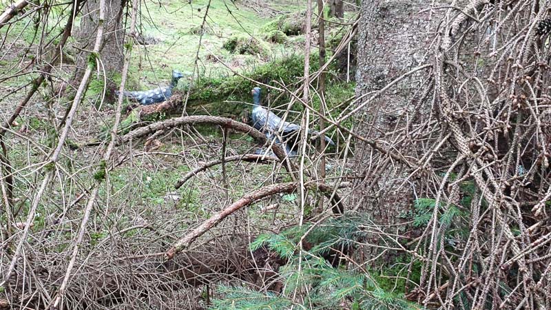 instarch 190503 4032 x 2268 9-bogenschiessen