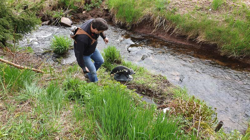 instarch 190503 4032 x 2268-bogenschiessen