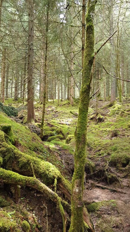 instarch 190504 2268 x 4032 2-bogenschiessen