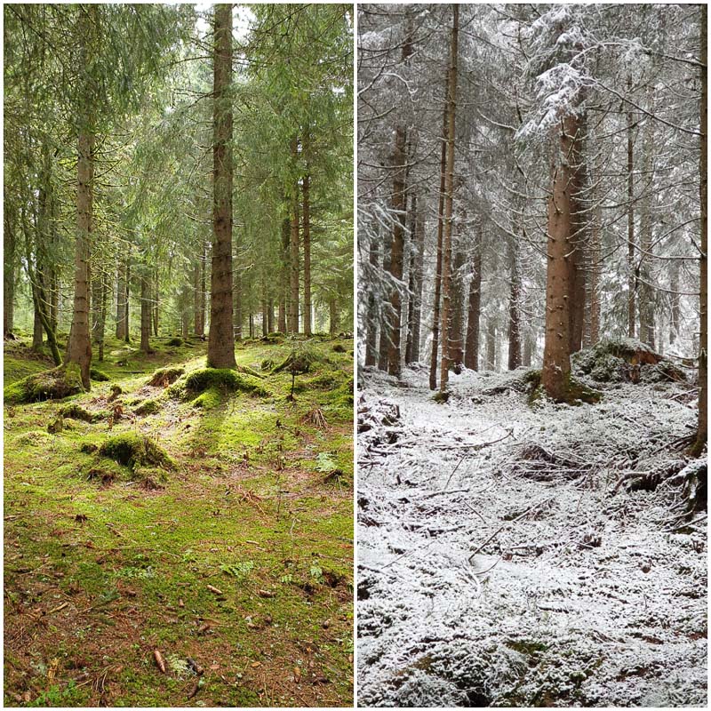 instarch 190504 2896 x 2896 Kopie-bogenschiessen