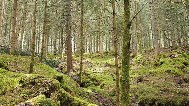 instarch 190504 4032 x 2268 3 1-bogenschiessen