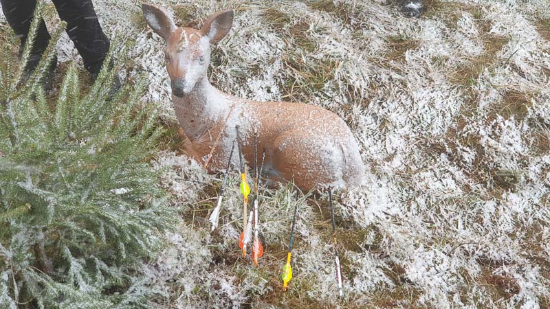 instarch 190504 4032 x 2268 6 Kopie-bogenschiessen