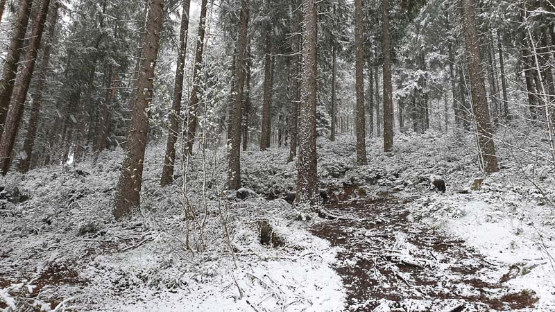 instarch 190504 4032 x 2268 7 Kopie-bogenschiessen