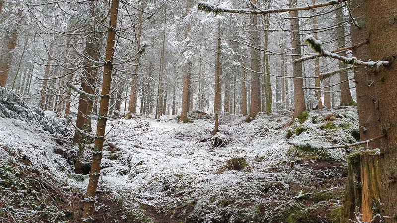 instarch 190504 4032 x 2268 8 Kopie-bogenschiessen