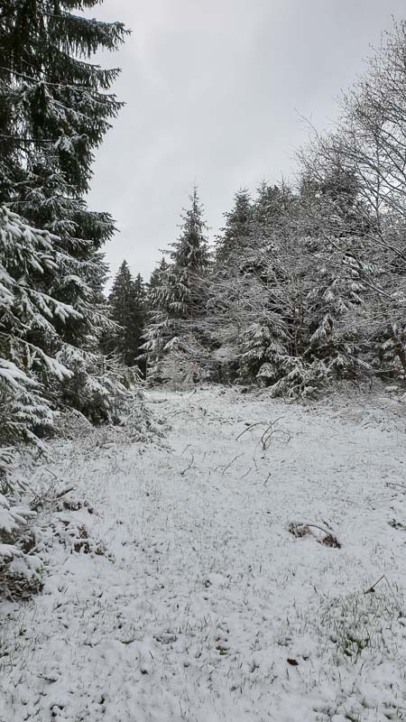 instarch 190505 2268 x 4032 3-bogenschiessen