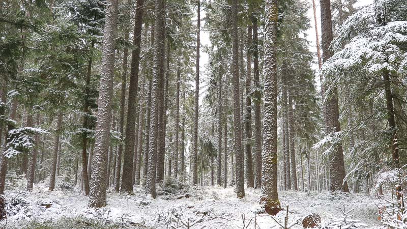 instarch 190505 4032 x 2268 3-bogenschiessen