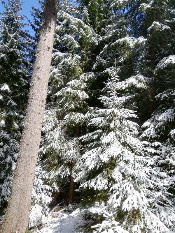 instarch 190509 1200 x 1599 2-bogenschiessen