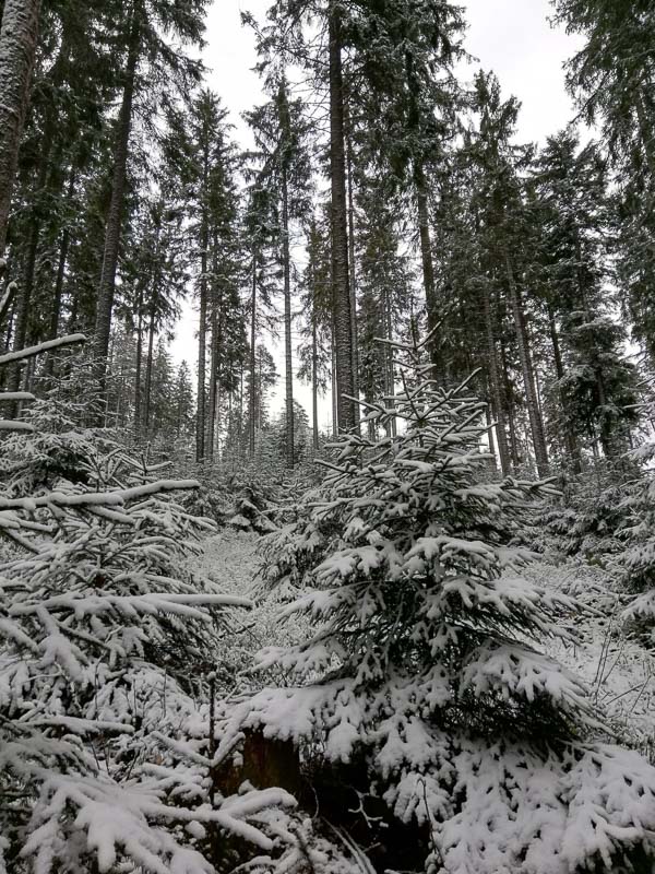 instarch 190509 1200 x 1599 3-bogenschiessen