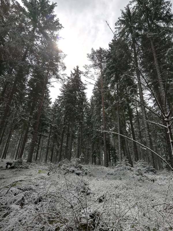 instarch 190509 1200 x 1599-bogenschiessen