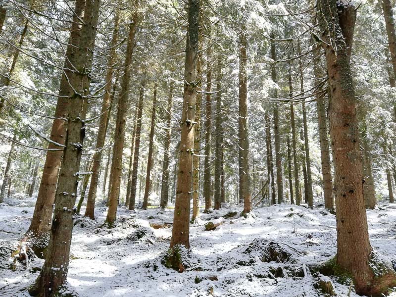 instarch 190509 1599 x 1200 13-bogenschiessen