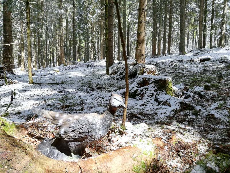 instarch 190509 1599 x 1200 15-bogenschiessen